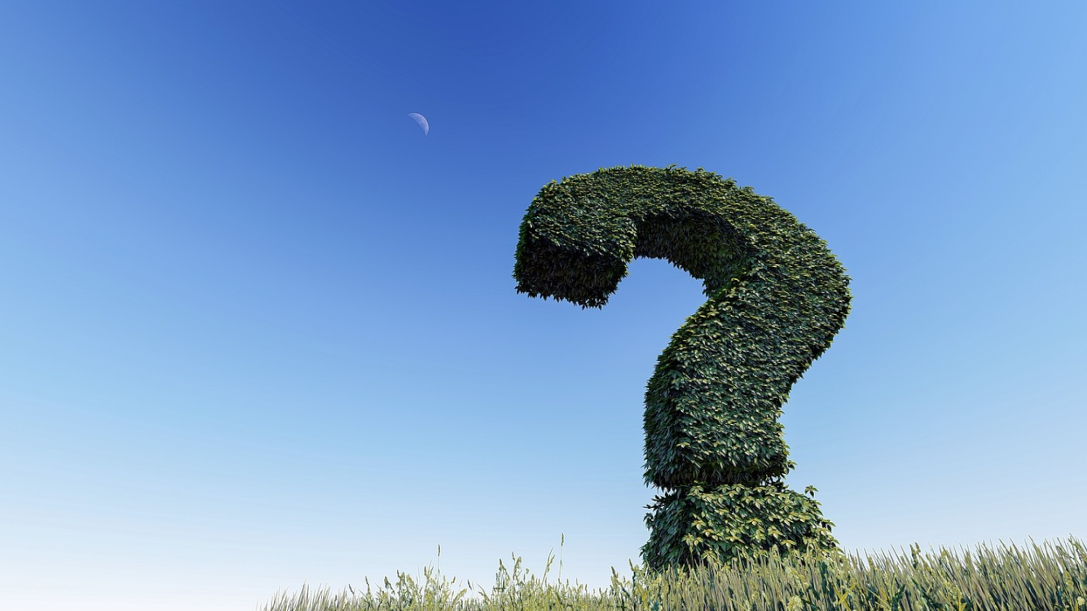What is greencrowding?