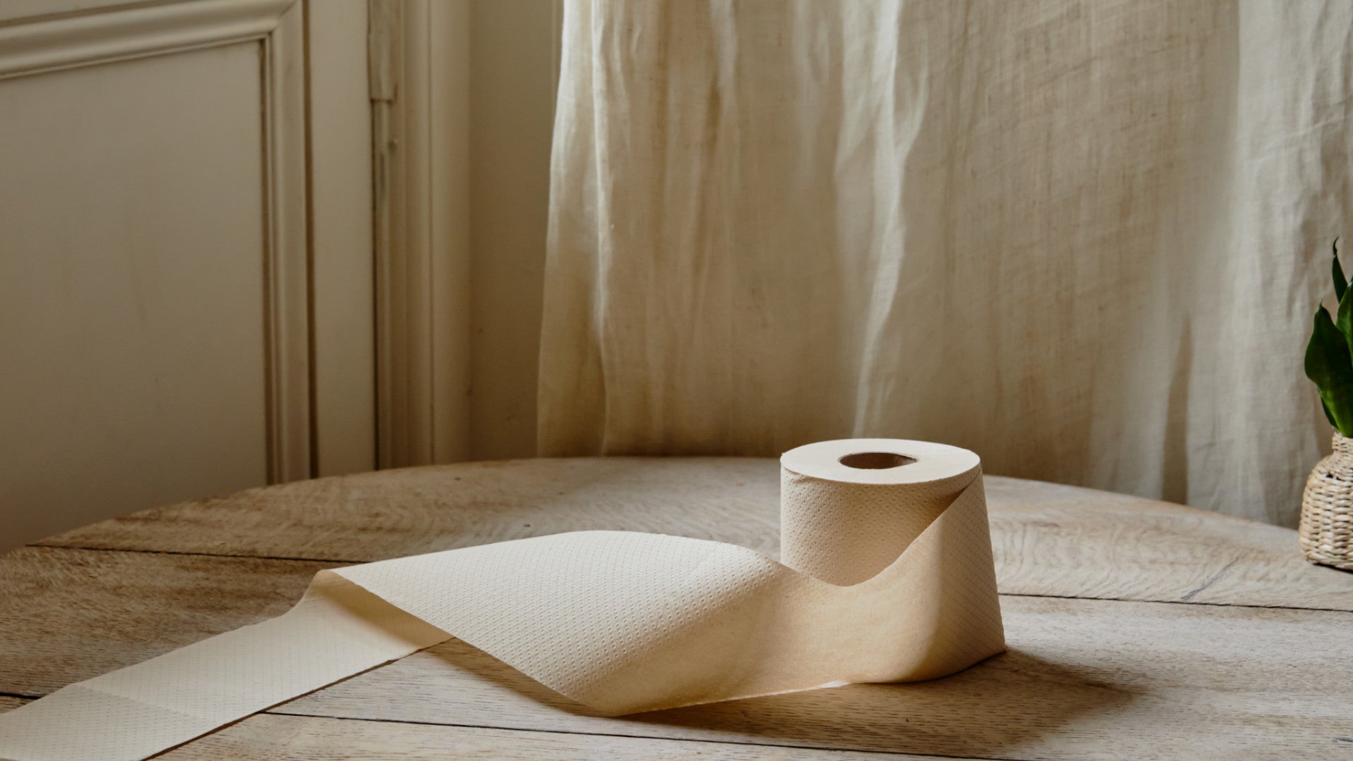 Bamboo vs recycled toilet paper: Which is better?