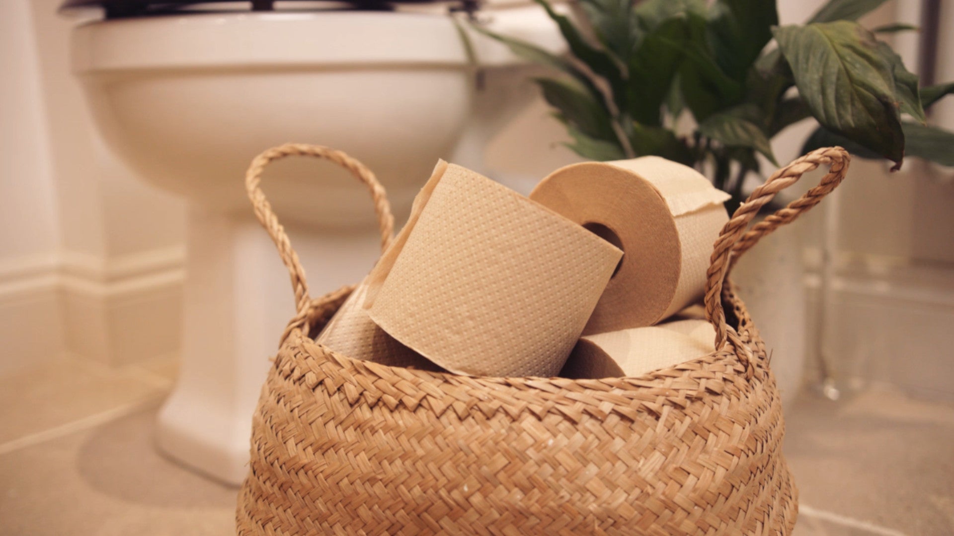 Eco friendly toilet rolls: five reasons to make the change