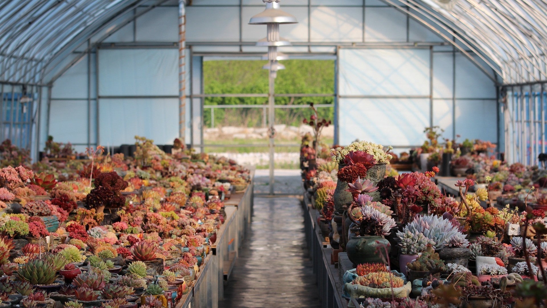 Why we say "climate footprint" not "carbon footprint"