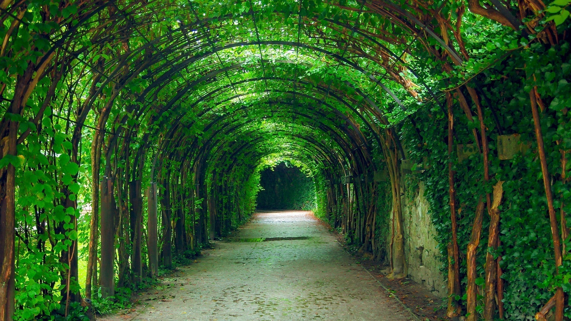 What is carbon tunnel vision?