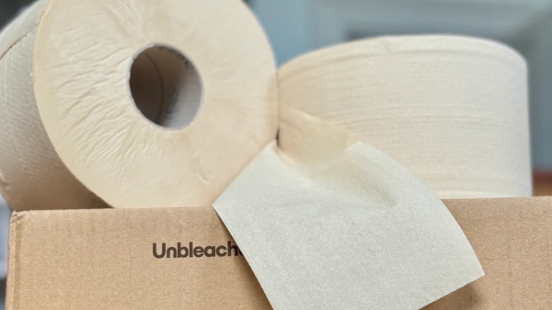 The hidden single-use plastic in public loos (and how we ditched it)