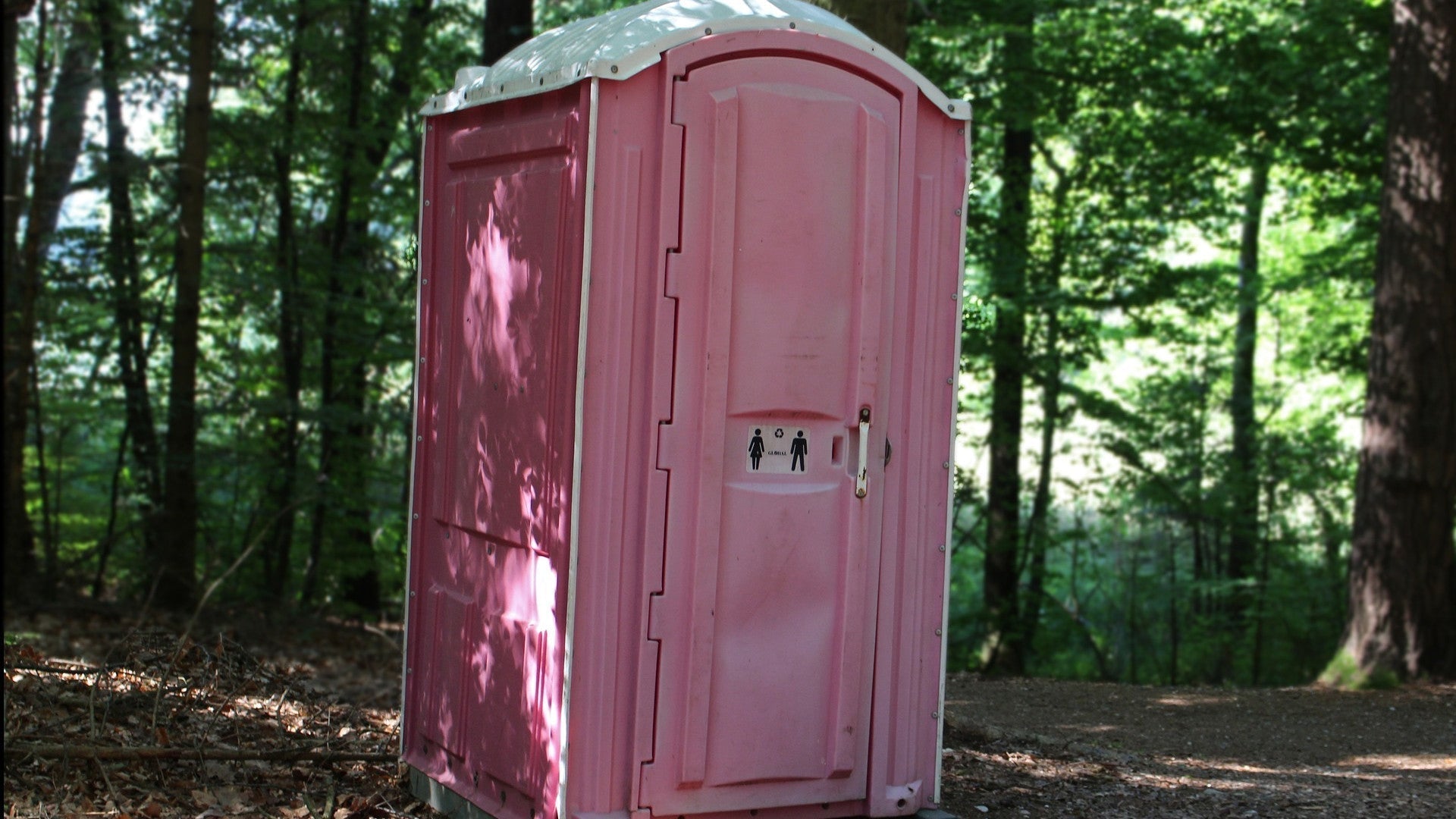 What’s the best biodegradable toilet paper?