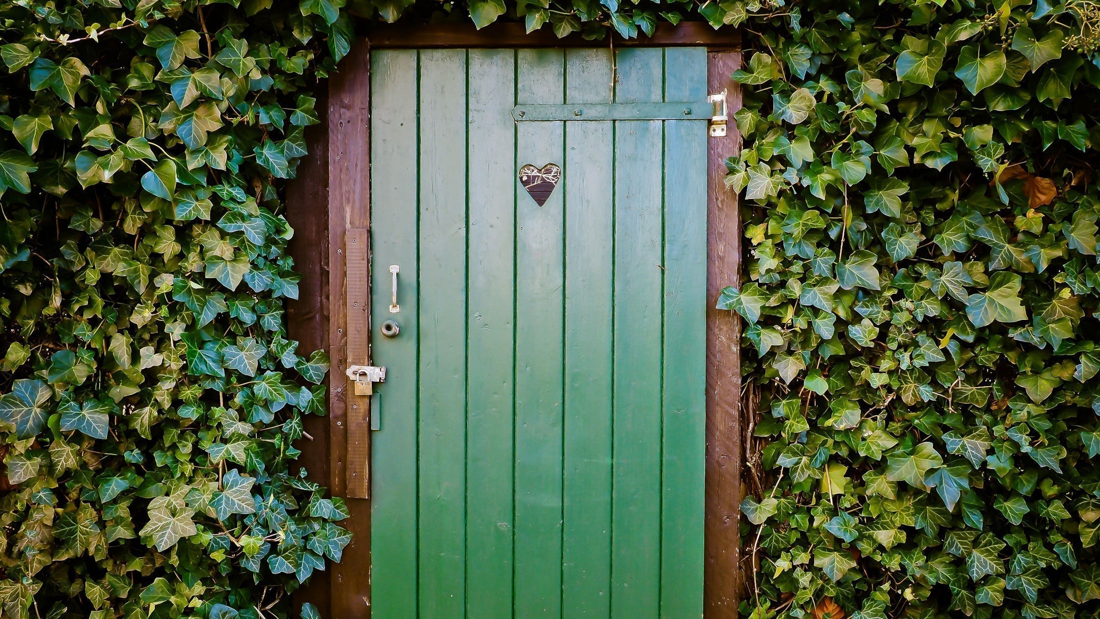 Flushing the greenwash: energy vs. electricity