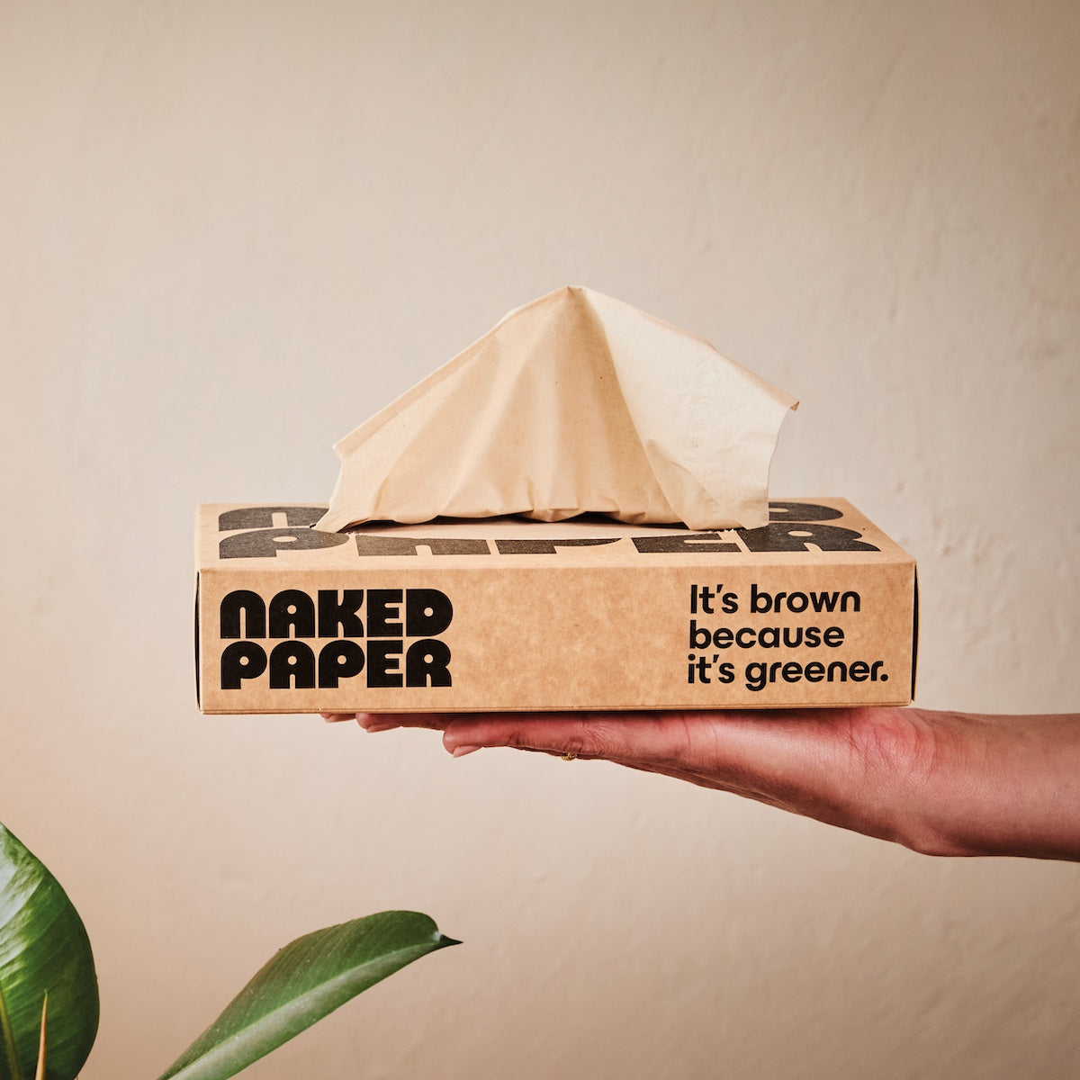 Unbleached tissues