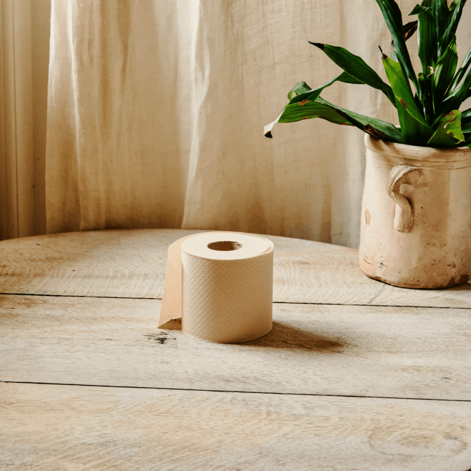 Super Soft, Unbleached Recycled Eco Toilet Paper Naked Paper