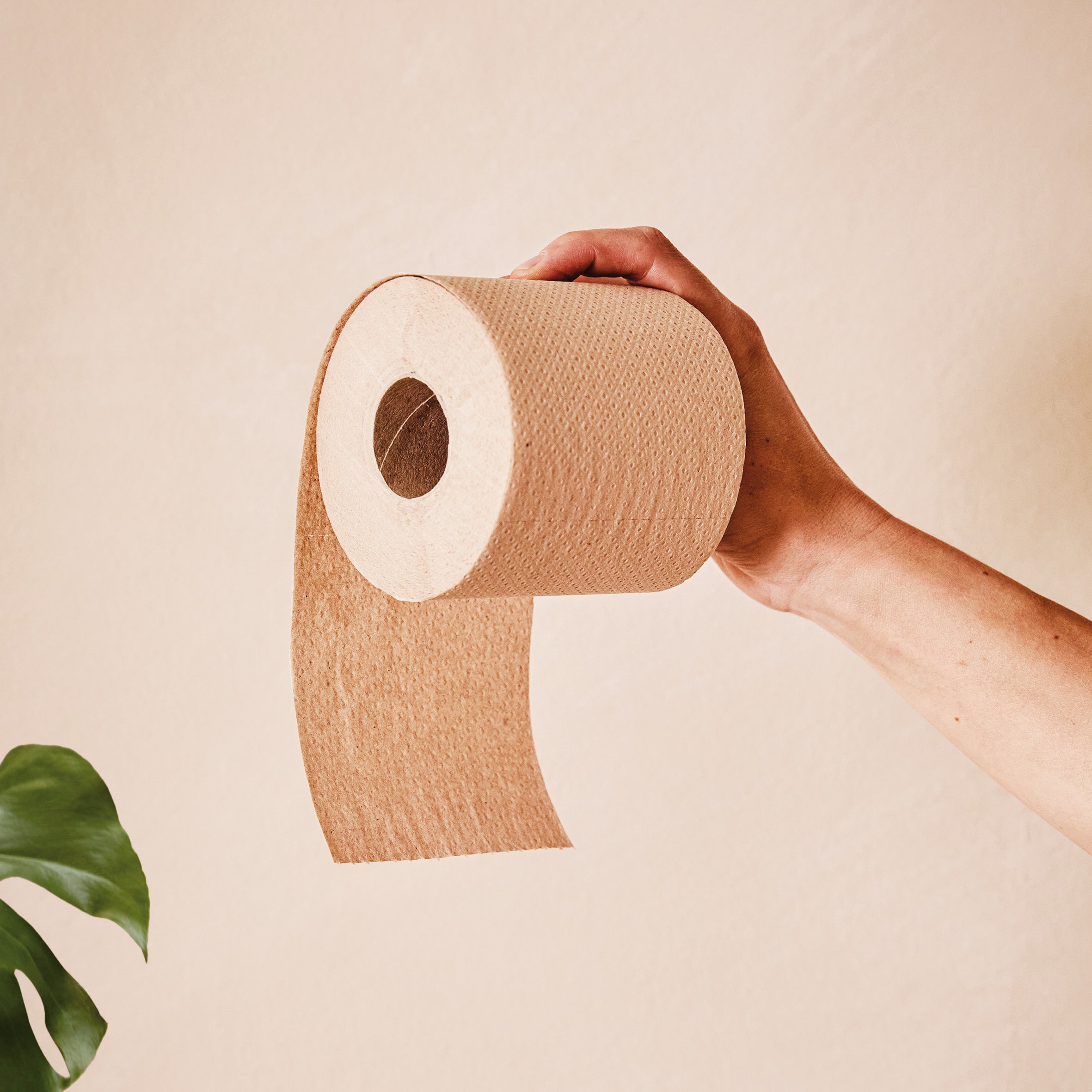 Unbleached Recycled Toilet Paper